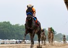 Splendora ridden by Flavien Prat won the $500,000 Grade II Molly Pitcher Stakes at Monmouth Park Racetrack in Oceanport, NJ on Saturday July 18, 2026. Photo By Ryan Denver/EQUI-PHOTO