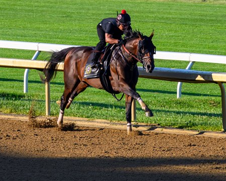 Golden Tempo breezes at Keeneland