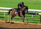 Golden Tempo with Ameth Gonzalez working four furlongs in 48.40. 
Training at Keeneland as Kentucky Derby and Belmont Stakes winner Golden Tempo worked before shipping to Saratoga to continue training in Lexington,, Ky., on July 17, 2026. 