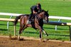 Golden Tempo with Ameth Gonzalez working four furlongs in 48.40. 
Training at Keeneland as Kentucky Derby and Belmont Stakes winner Golden Tempo worked before shipping to Saratoga to continue training in Lexington,, Ky., on July 17, 2026. 