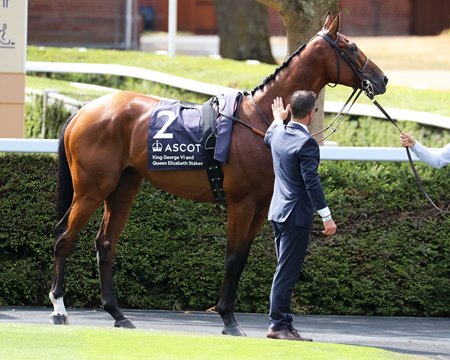 Goliath at Ascot Racecourse