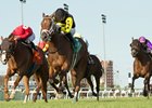 G T Five Hundred wins the 2026 Connaught Cup Stakes at Woodbine