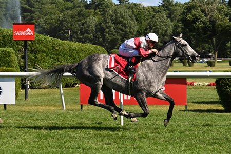 Silvology wins an allowance optional claiming race at Saratoga Race Course
