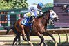 Talk to Me Jimmy wins the 2026 New York Derby