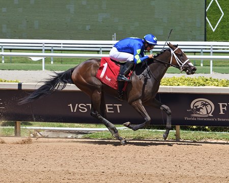 Hot Rod Honey pulls away in the Sharp Susan Stakes at Gulfstream Park