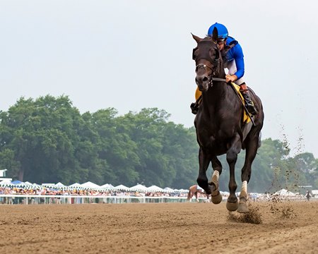 Knightsbridge romps in the Monmouth Cup Stakes at Monmouth Park