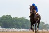 Knightsbridge ridden by Flavien Prat won the $350,000 Grade III Monmouth Cup at Monmouth Park Racetrack in Oceanport, NJ on Saturday July 18, 2026. Photo By Ryan Denver/EQUI-PHOTO