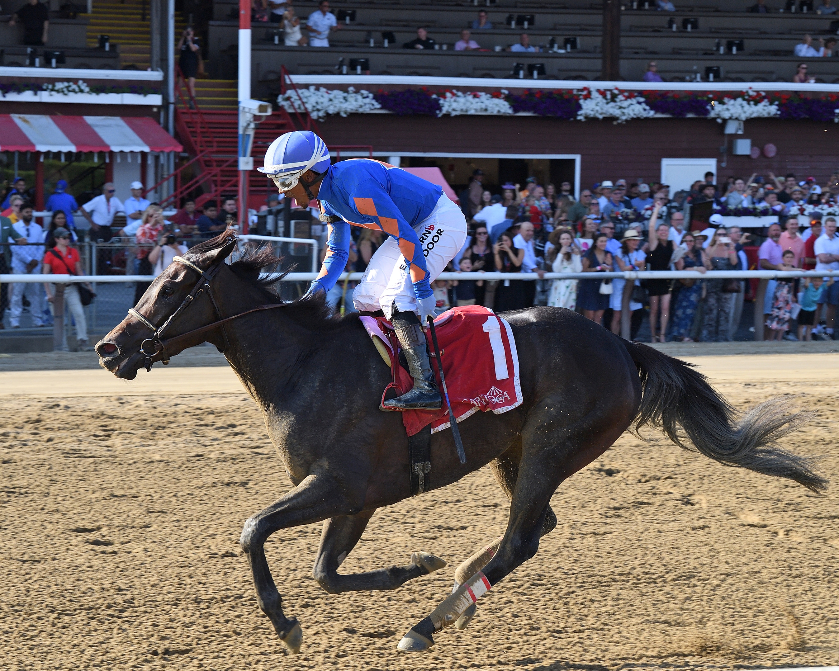 Sippin Pretty Rebounds With Upset Win in Victory Ride - BloodHorse