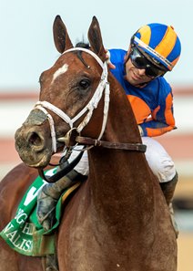 Journalism after winning the San Diego Handicap at Del Mar