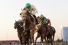 J J Grey wins the 2026 Iowa Derby at Prairie Meadows