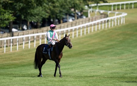 Blue Bolt after her Falmouth Stakes victory at Newmarket Racecourse