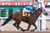 Two Steves wins the 2026 Bear Necessities Overnight Stakes at Wyoming Downs