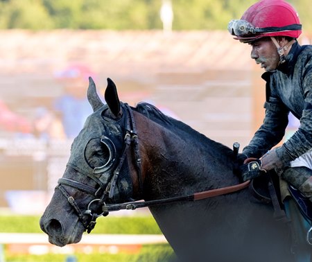 Golden Tempo returns after finishing third in the Travers Stakes at Saratoga Race Course