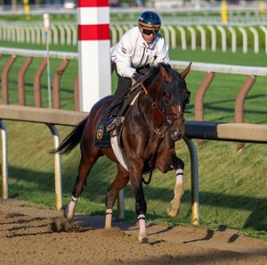 Golden Tempo Aug. 22 at Saratoga