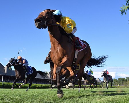 Evershed wins the Waya Stakes at Saratoga Race Course