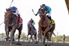 Adios Jojo wins the 2026 Longacres Mile at Emerald Downs