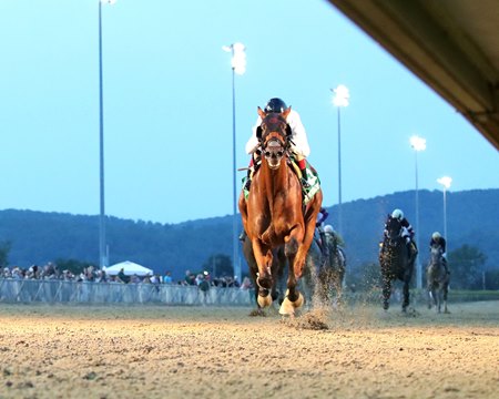 Zihnal wins the West Virginia Derby at Mountaineer