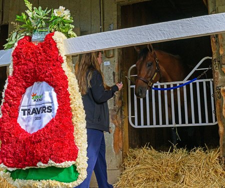 Elsa Loriel gives Leading Change a mint the morning after winning the Travers Stakes at Saratoga Race Course