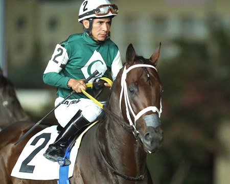Bravaro enters the Gallant Bob Stakes off of a victory in the Robert Hilton Memorial Stakes at Charles Town