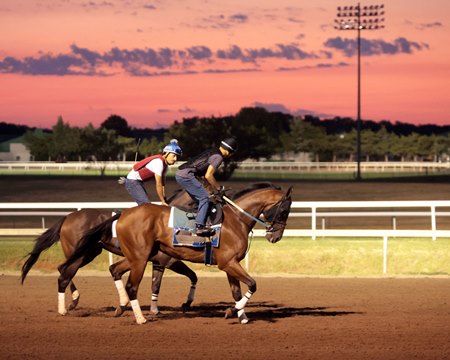 Horses train for the upcoming Thoroughbred season at Remington Park