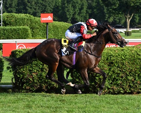 Glacius takes the Saratoga Derby Stakes at Saratoga Race Course