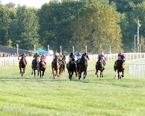 Kentucky Downs Finds Interest in its Racing Simulcast