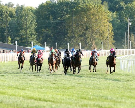 Racing at Kentucky Downs provides plenty of excitement thanks to full fields and a unique setting, in terms of United States racing