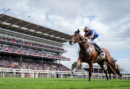 Constitution River wins the Juddmonte International at York Racecourse