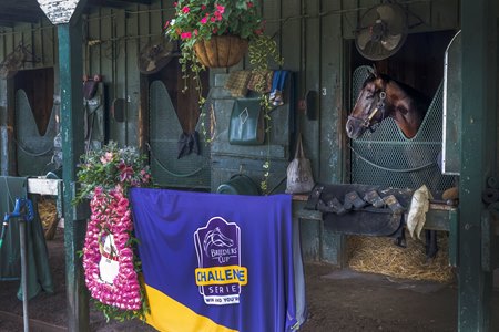 Sovereignty at the barn after winning the Whitney Stakes at Saratoga Race Course