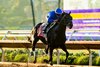 Godolphin LLC's Knightsbridge and jockey Junior Alvarado win the Grade I $1,000,000 Pacific Classic Saturday, August 22, 2026 at Del Mar Thoroughbred Club, Del Mar, CA. The Kentucky-bred son of Nyquist is trained by William I. Mott.
Benoit Photo