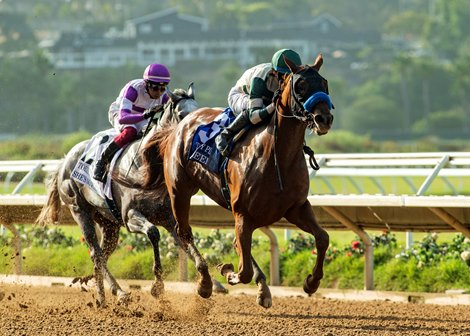 Unbeaten Rabeeba Steps Up in Torrey Pines Stakes