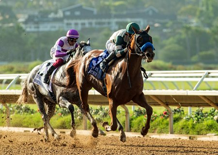 Rabeeba wins the Torrey Pines Stakes at Del Mar