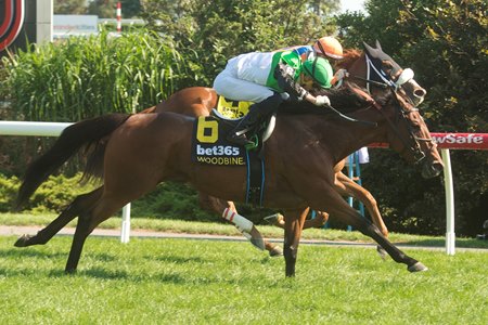 Proctor Street wins the Canadian Stakes at Woodbine