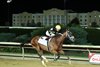Willy D's wins the 2026 Charles Town Classic Stakes at Charles Town