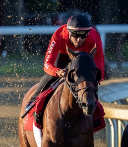 Silent Tactic works at Saratoga Race Course