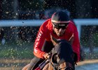Travers probable Silent Tactic works in tandem at the Saratoga Race Course Wednesday Aug.19, 2026 in Saratoga Springs, N.Y. Photo by Skip Dickstein