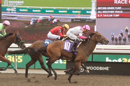 War Emperor breaks his maiden at Woodbine
