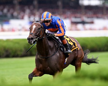 Survie wins the Glens Falls Stakes at Saratoga Race Course