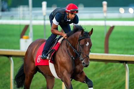 Silent Tactic trains at Saratoga Race Course