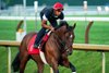 Silent Tactic, 08.09.26, Saratoga Race Course