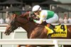 English Actor wins the 2026 Niagara Stakes at Woodbine