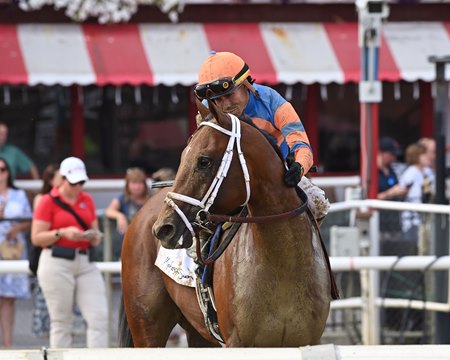 Renegade wins the Jim Dandy Stakes at Saratoga Race Course