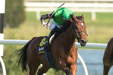 Proctor Street wins the Canadian Stakes at Woodbine