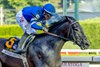 Sovereignty with jockey Junior Alvarado aboard leads to the win in the 99th running of The Whitney  at the Saratoga Race Course Saturday Aug.6, 2026 in Saratoga Springs, N.Y.