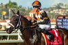Proletariat and jockey Kyle Frey win the Grade II $300,000 Caesars Sportsbook Del Mar Derby Sunday August 23, 2026 at Del Mar Thoroughbred Club, Del Mar, CA.  The three-year-old son of Raging Bull is owned by Dutch Girl Holdings LLC and Irving Ventures LLC and trained by Jeff Mullins.
Benoit Photo
 