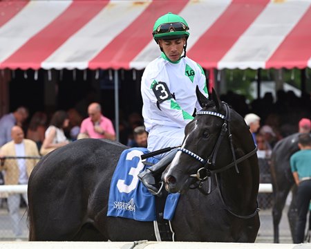Twinkle Town after his victory in the Saratoga Special Stakes at Saratoga Race Course