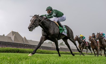 Deterministic wins a second Fourstardave Stakes at Saratoga Race Course