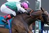 Kalpana (Colin Keane) beats Sparan Nua (Rossa Ryan) in the Yorkshire Oaks
York 20.8.26 Pic: Edward Whitaker