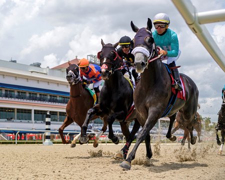 Racing at Gulfstream Park