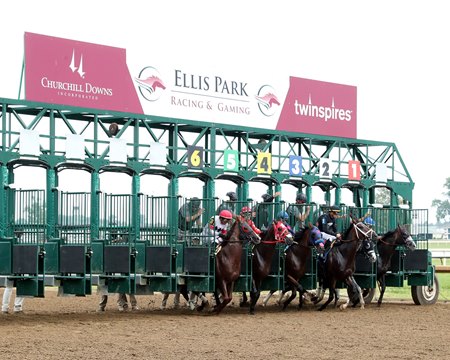 Racing at Ellis Park